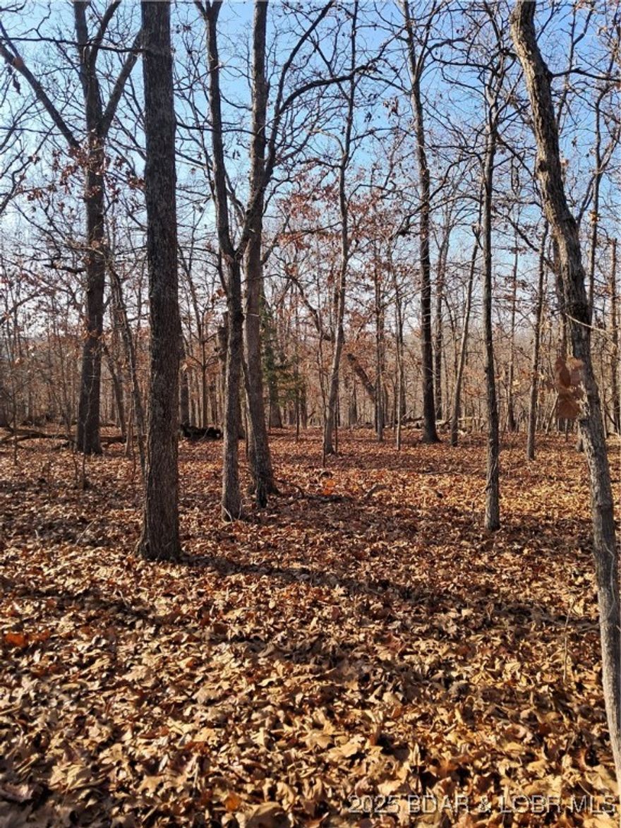 Looking for some peace and quiet, but don’t want to live way out in the middle of nowhere? This property nails it. You’re less than 5 miles from Laurie—close to groceries, restaurants, shopping, and all the everyday stuff we actually need—yet it feels tucked away and private, surrounded by trees and nature.

You’re also just minutes from the Indian Rock Golf Course, the local movie theater, and plenty of lakefront and off-water dining spots. Light deed restrictions keep things looking nice without being overbearing, and yes…you can do a manufactured home here as long as it’s on a permanent foundation.

The land itself has several great spots to build—full-time home, weekend cabin, or even space to add extra buildings if you want. The gentle terrain makes it easy to plan a driveway and clearing without fighting steep ground. Take a walk out here and you’ll start picturing exactly how you’d make it yours.