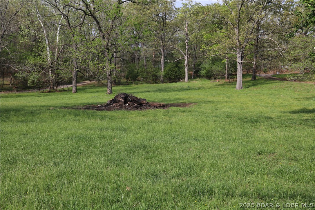 Green Lawn - Residential