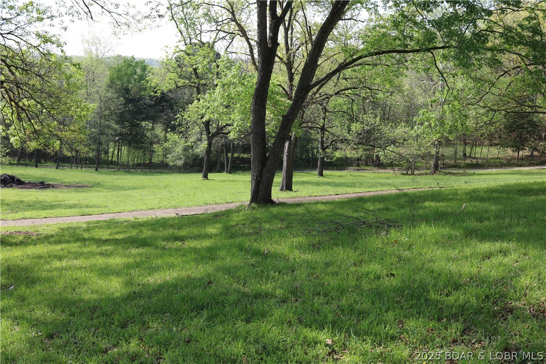 Green Lawn - Residential