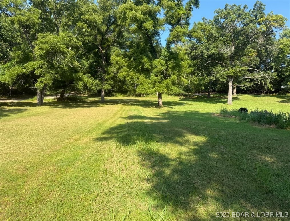 Green Lawn - Residential