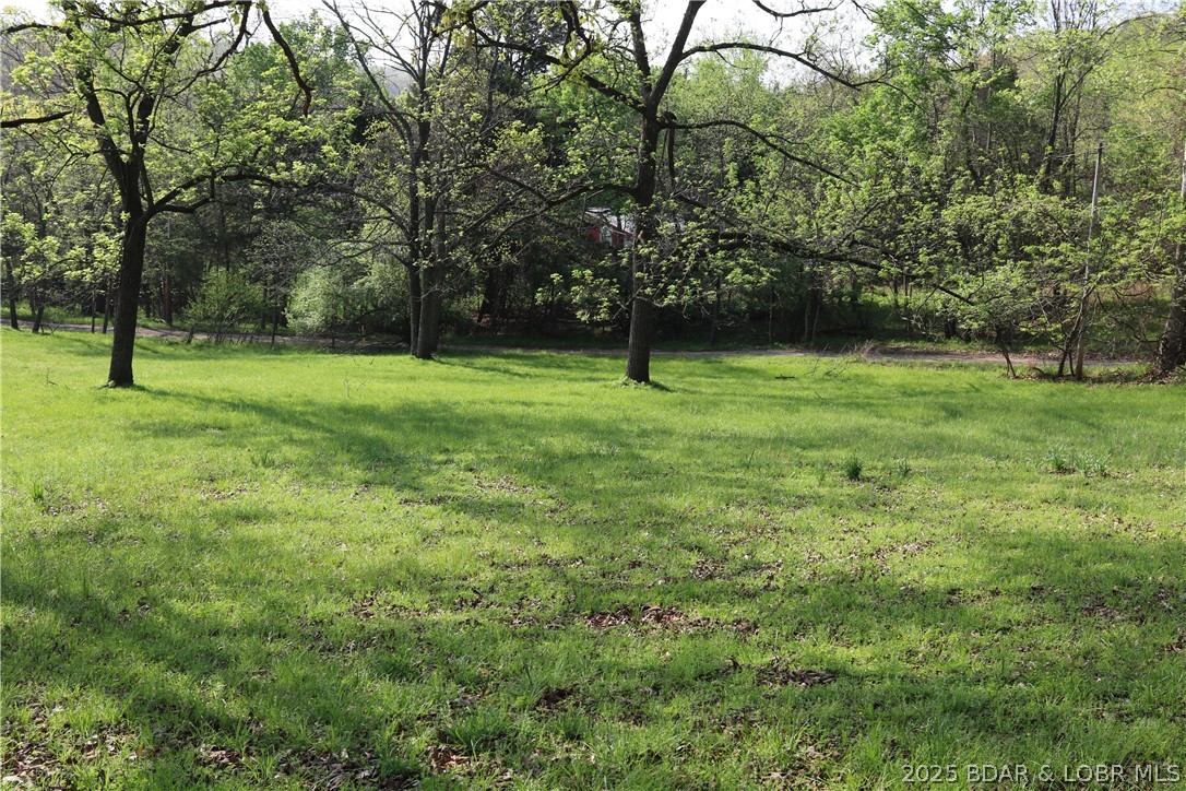 Green Lawn - Residential