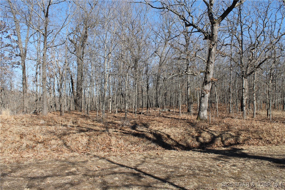 Forbes Lake of the Ozarks - Land