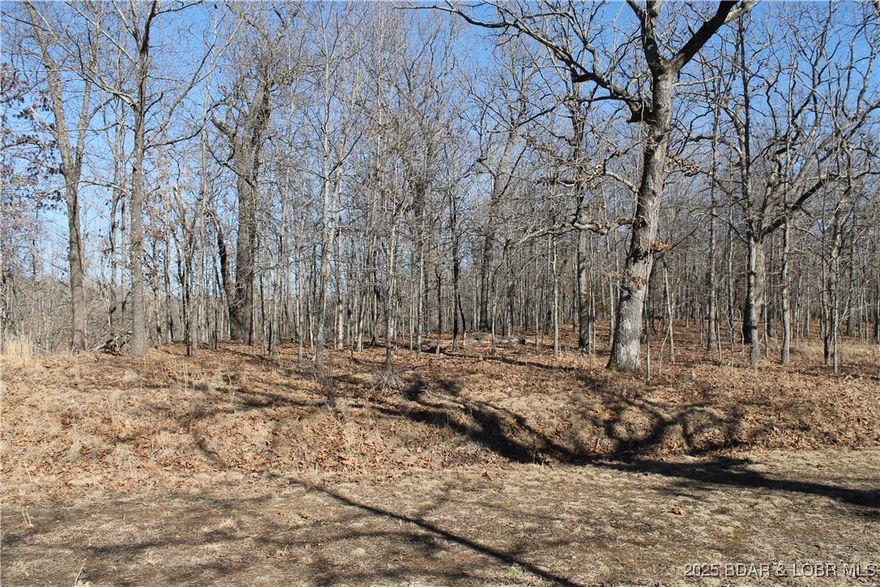 Come relax and enjoy the peaceful serenity of your own 3-acre retreat! Surrounded by nature, this property is home to abundant deer, turkey, and other wildlife for you to enjoy. Whether you’re ready to build your dream home or create the perfect getaway, this lot is nestled within the gated Forbes Lake of the Ozarks Park, offering an array of amenities including interior lakes, boat ramps to the calmer side of Lake of the Ozarks, tennis court, RV park, and more. Conveniently located just 30 minutes from Warsaw and a little over 2 hours from Kansas City, this property combines privacy, recreation, and accessibility. Don’t miss the chance to make it yours!