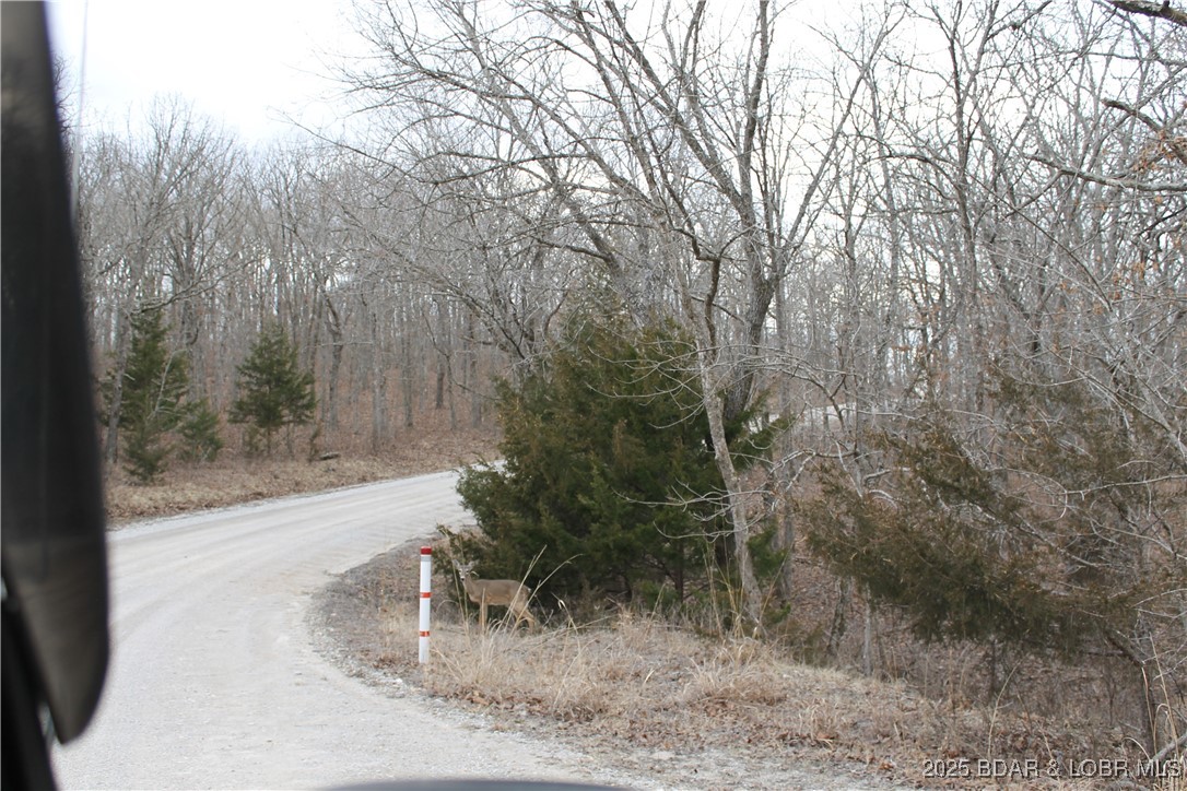 Forbes Lake of the Ozarks - Land