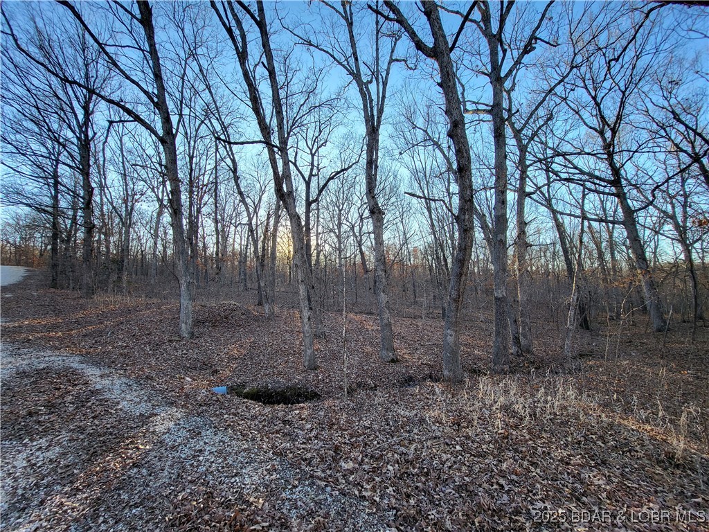 Forbes Lake of the Ozarks - Land