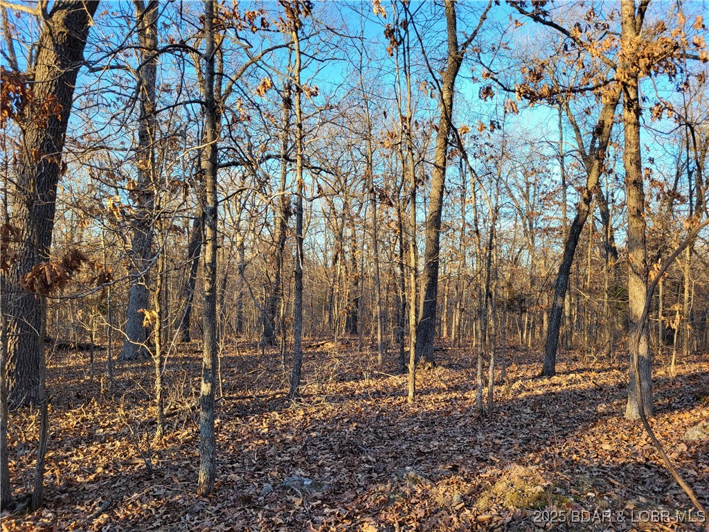 Forbes Lake of the Ozarks - Land