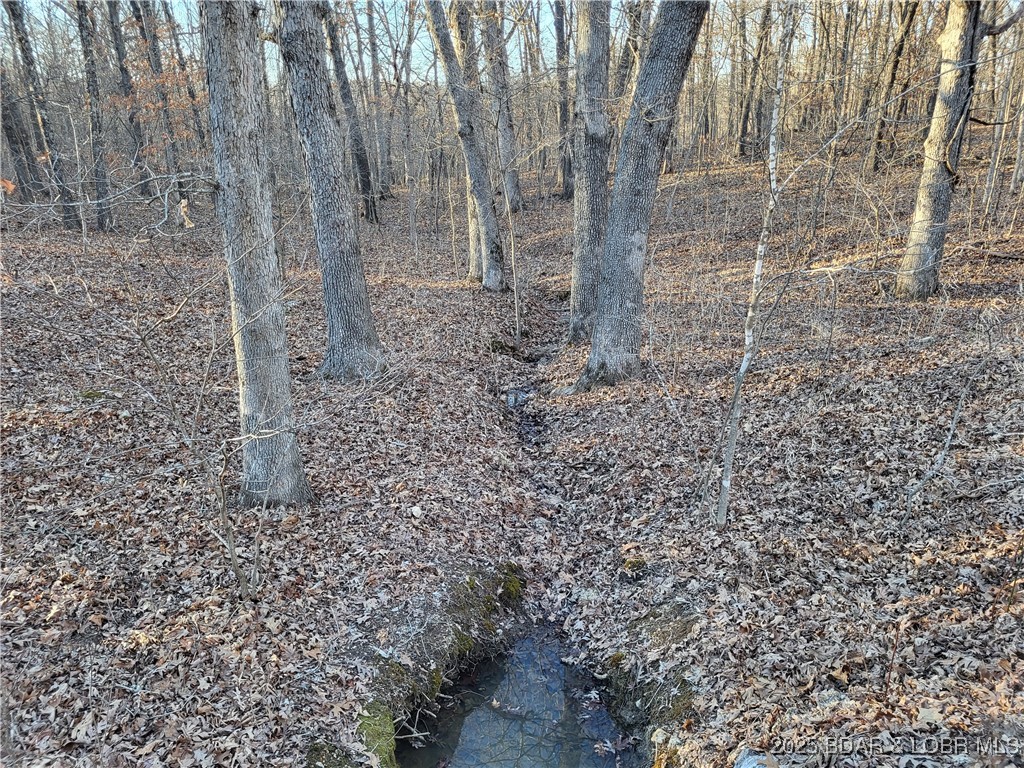 Forbes Lake of the Ozarks - Land