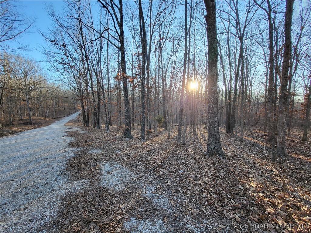 Forbes Lake of the Ozarks - Land