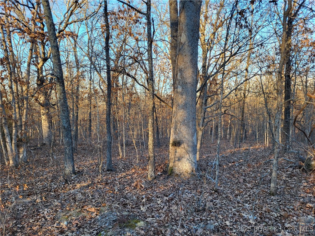 Forbes Lake of the Ozarks - Land