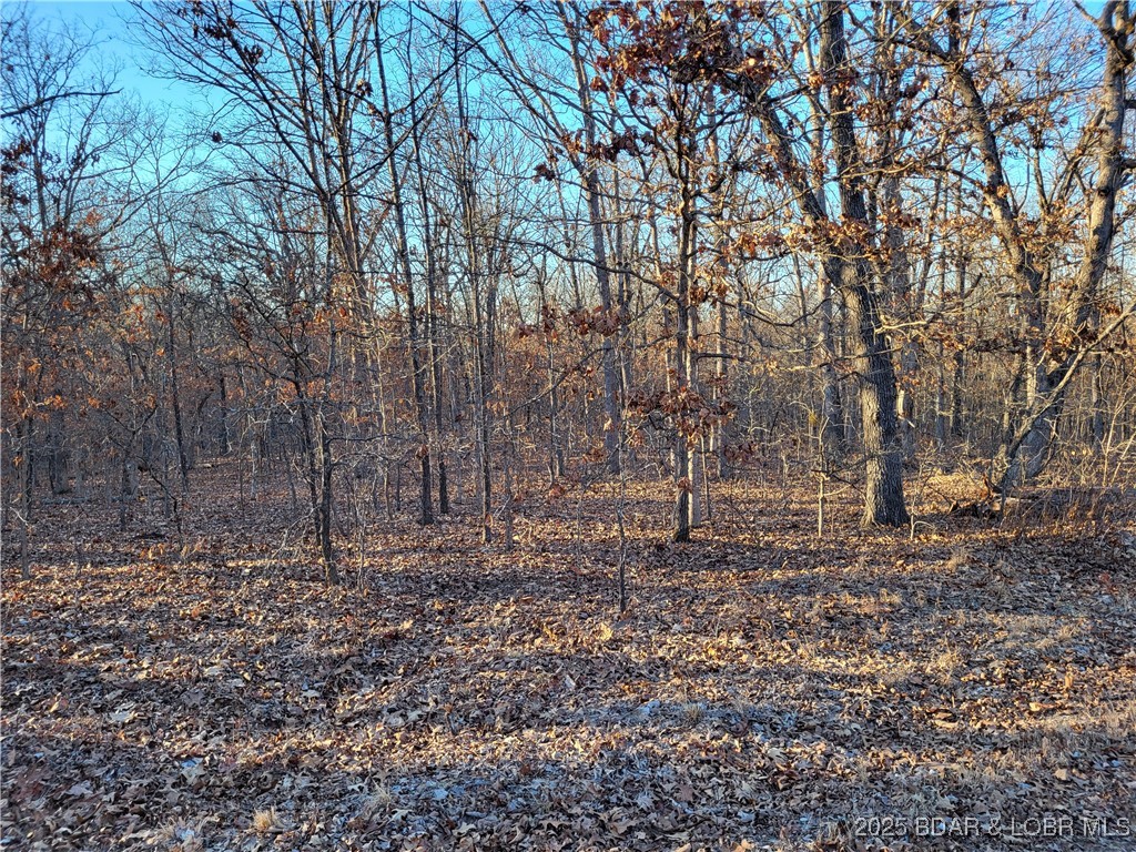 Forbes Lake of the Ozarks - Land