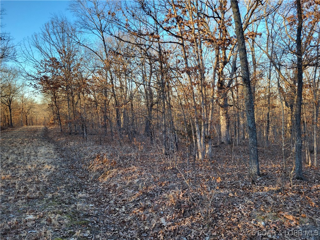 Forbes Lake of the Ozarks - Land