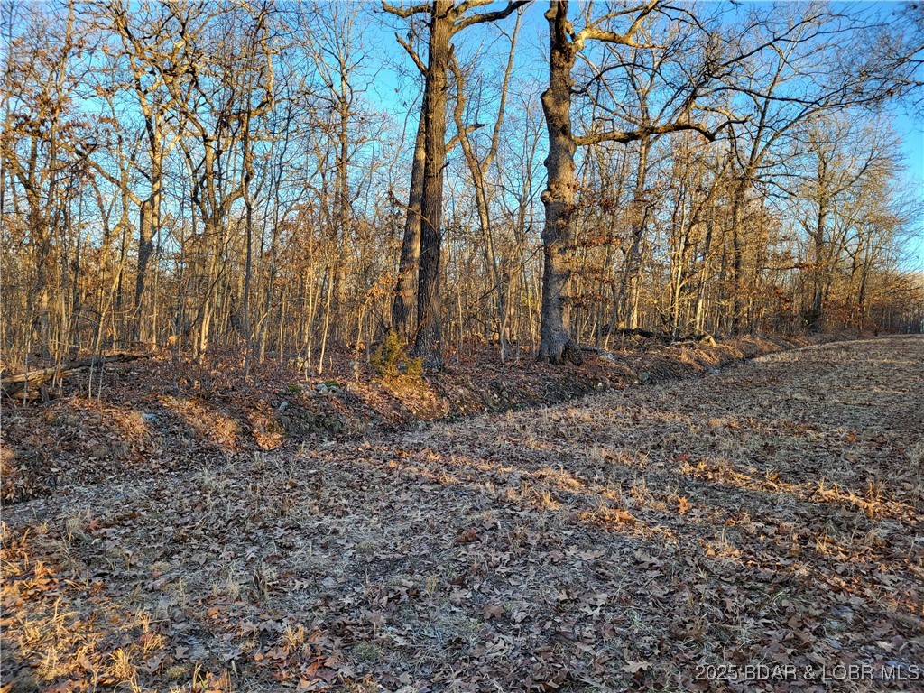 Forbes Lake of the Ozarks - Land