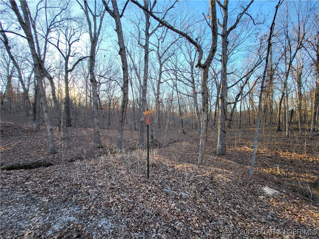 Forbes Lake of the Ozarks - Land