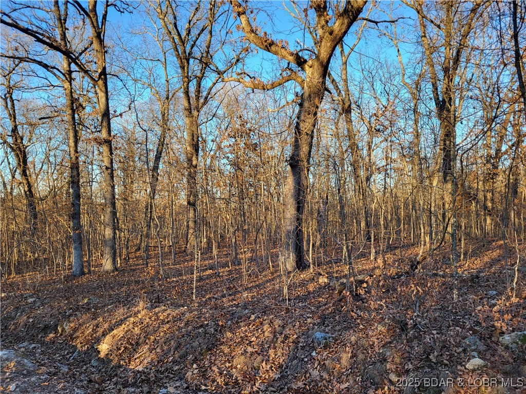Forbes Lake of the Ozarks - Land