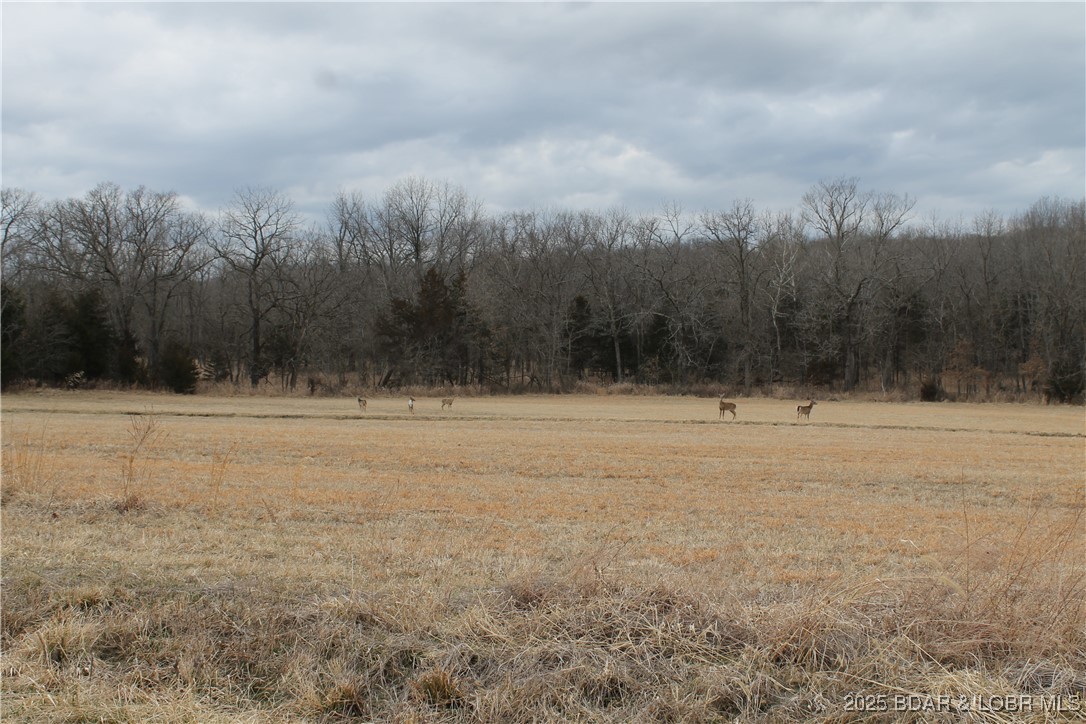 Forbes Lake of the Ozarks - Land