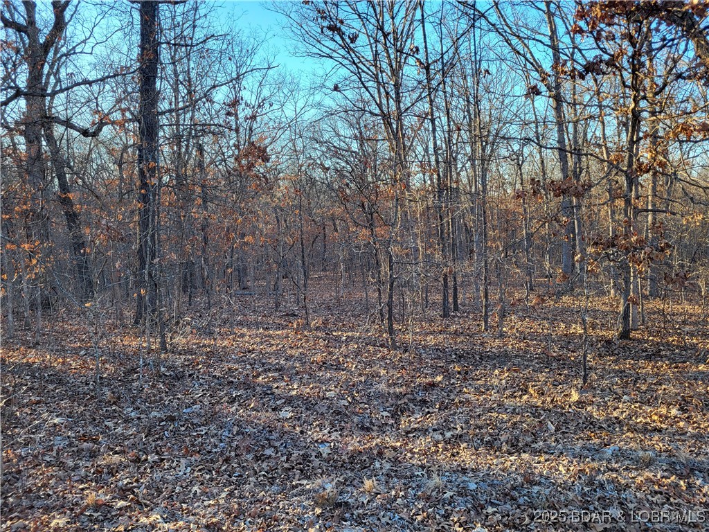 Forbes Lake of the Ozarks - Land