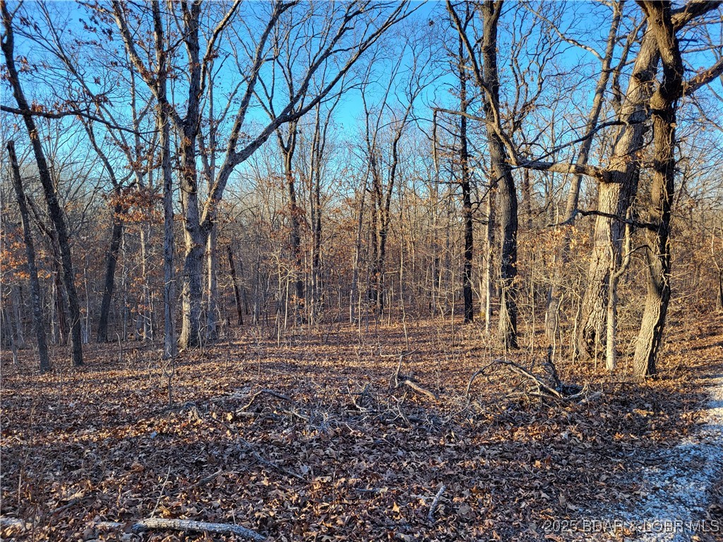 Forbes Lake of the Ozarks - Land