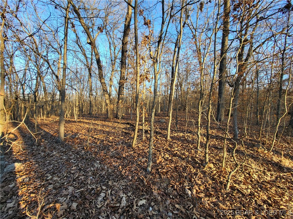 Forbes Lake of the Ozarks - Land