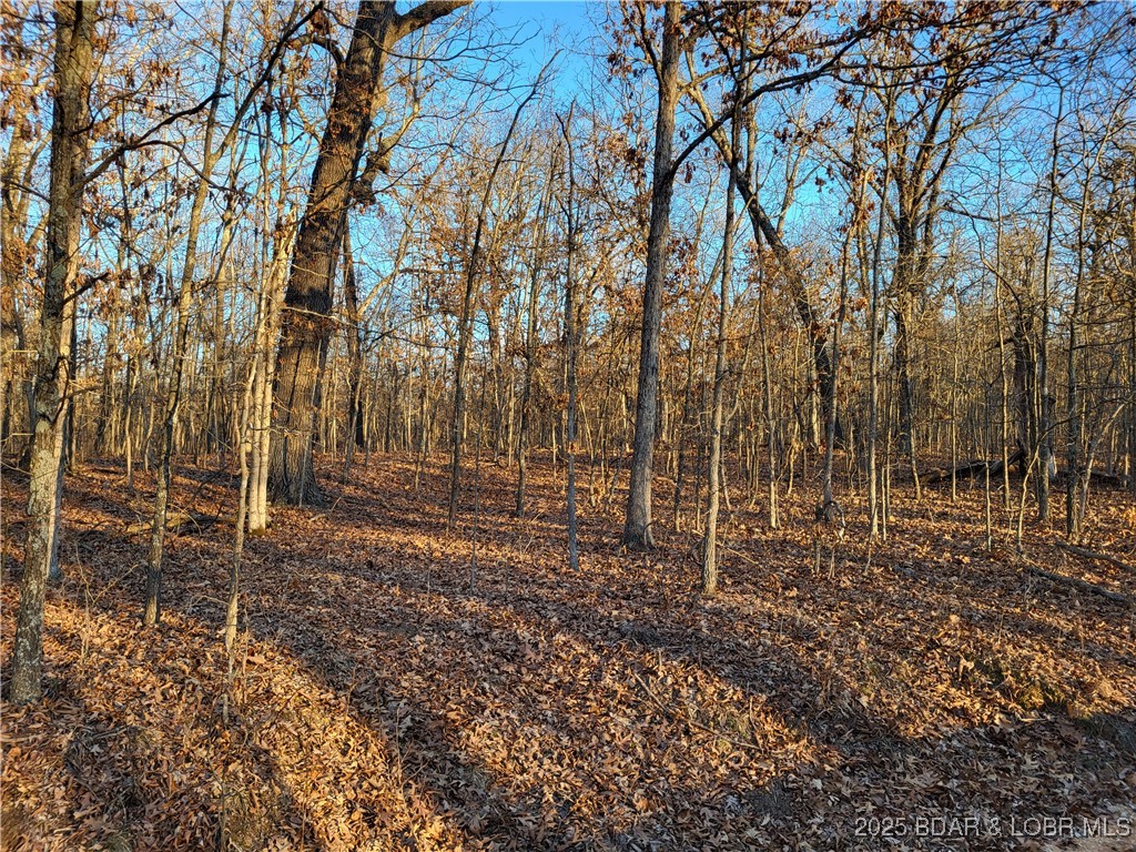 Forbes Lake of the Ozarks - Land