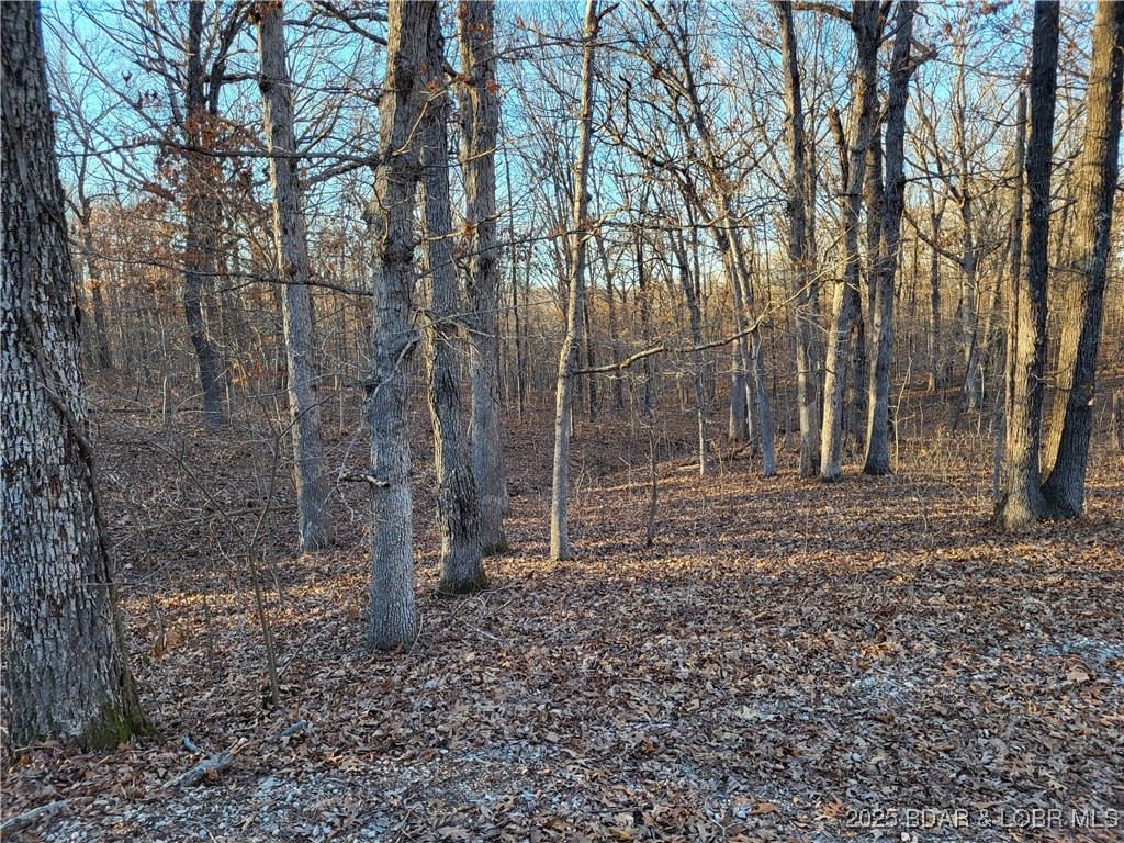 Forbes Lake of the Ozarks - Land