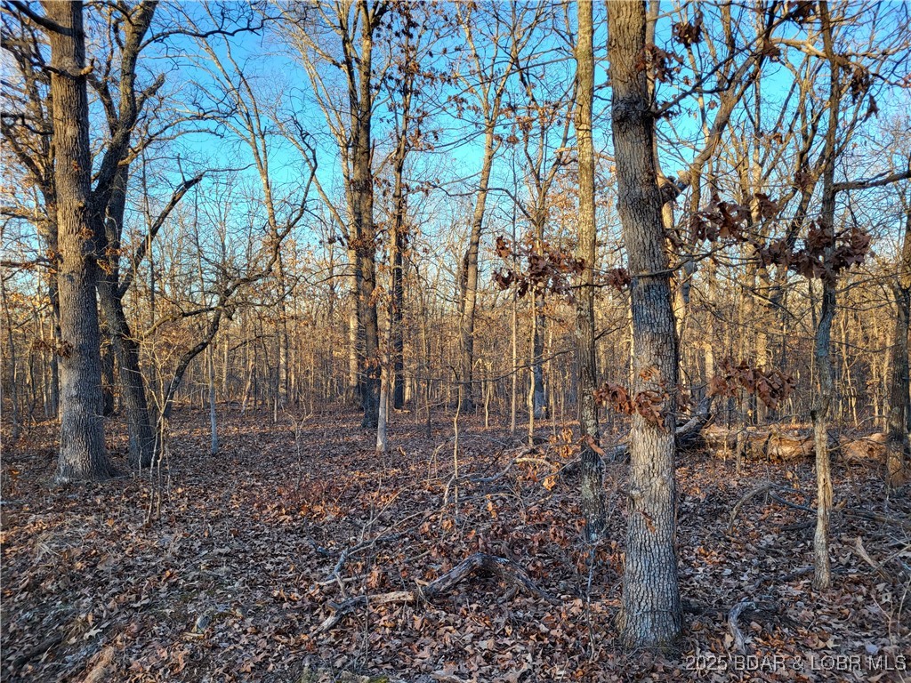 Forbes Lake of the Ozarks - Land