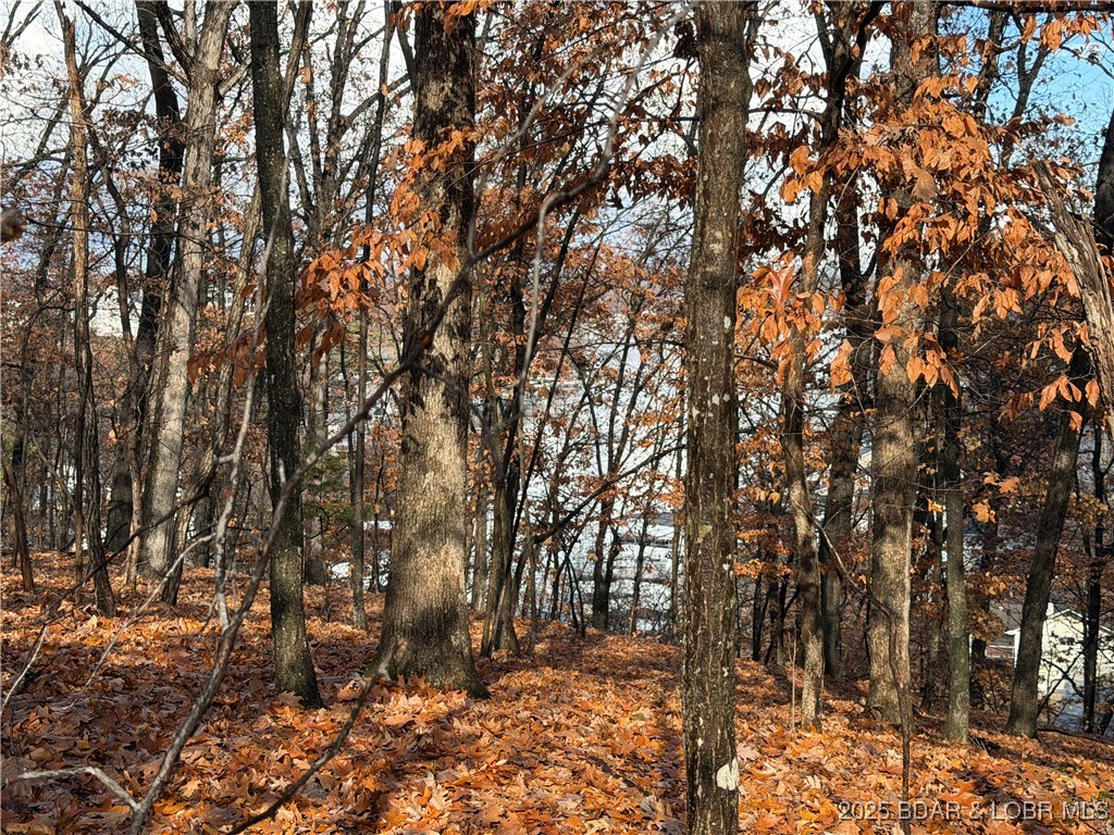 Ridgecrest No. 1 - Land