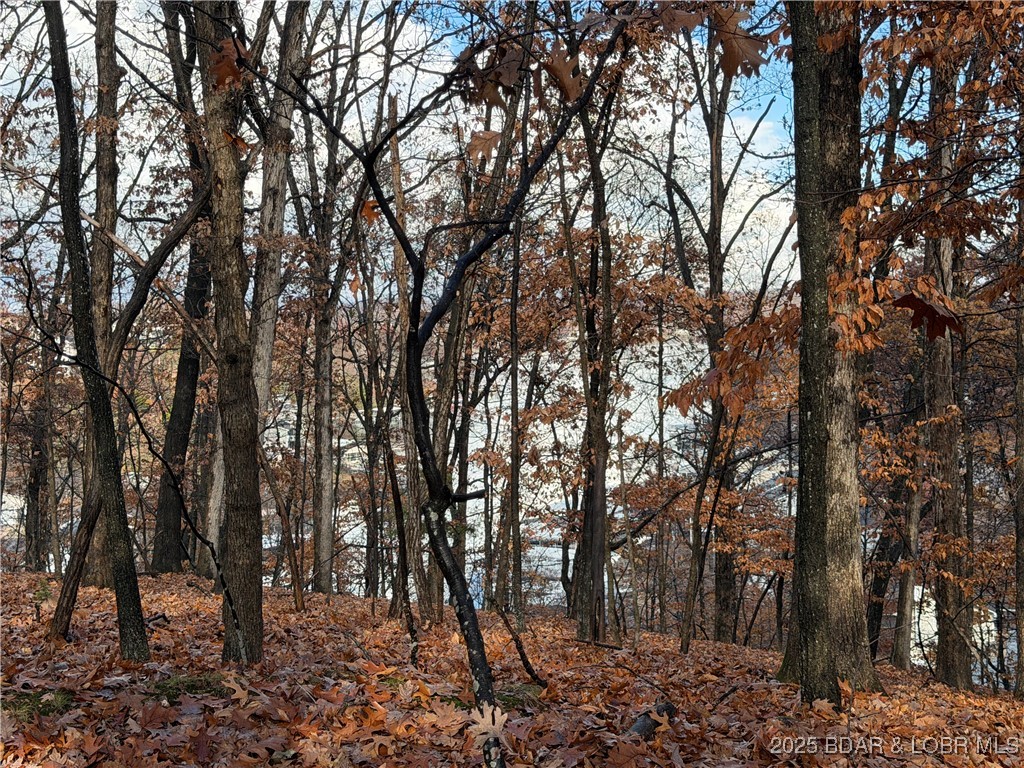 Ridgecrest No. 1 - Land