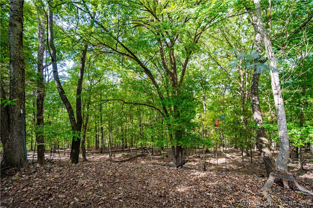 Panoramic - Residential