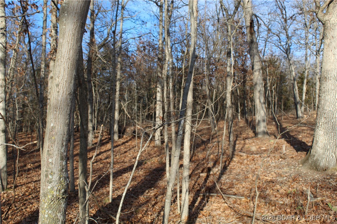 Indian Rock Estates - Land