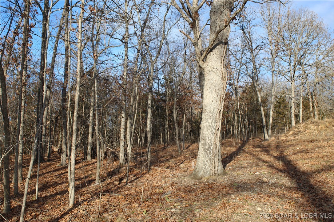 Indian Rock Estates - Land