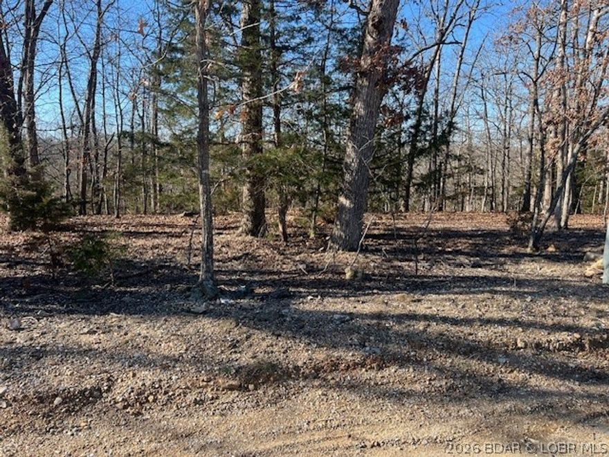 This is the perfect lot to build your dream home. This lot is located in the Village of the Four Seasons on Horseshoe Bend. Enjoy the many amenities such as indoor community pool, outdoor community pools, exercise facility, tennis courts, dog park, close to many popular restaurants on and off water, shopping, medical facilities, marinas and more. Act quick! Don’t miss out on this great opportunity.