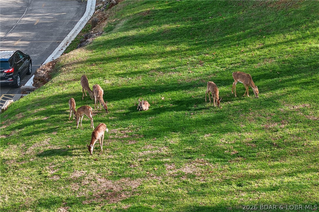 Heron Bay Condominium - Residential