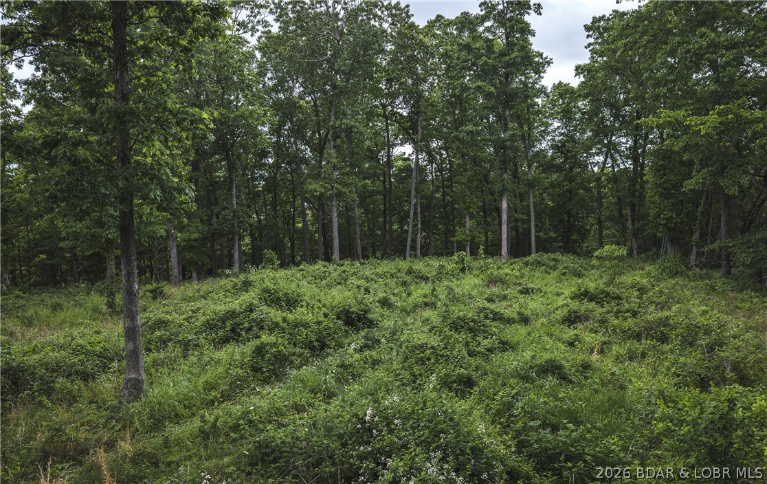 Out of Area - Land