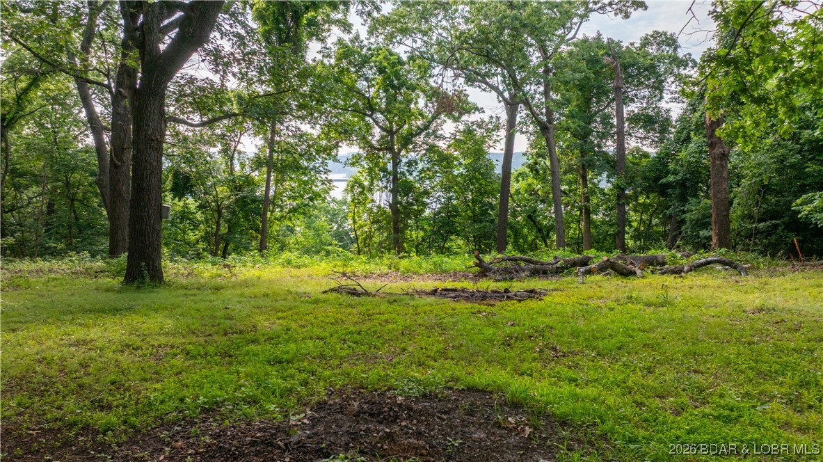 El Tampa Acres - Residential