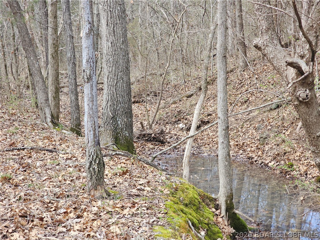 Town N Country - Residential