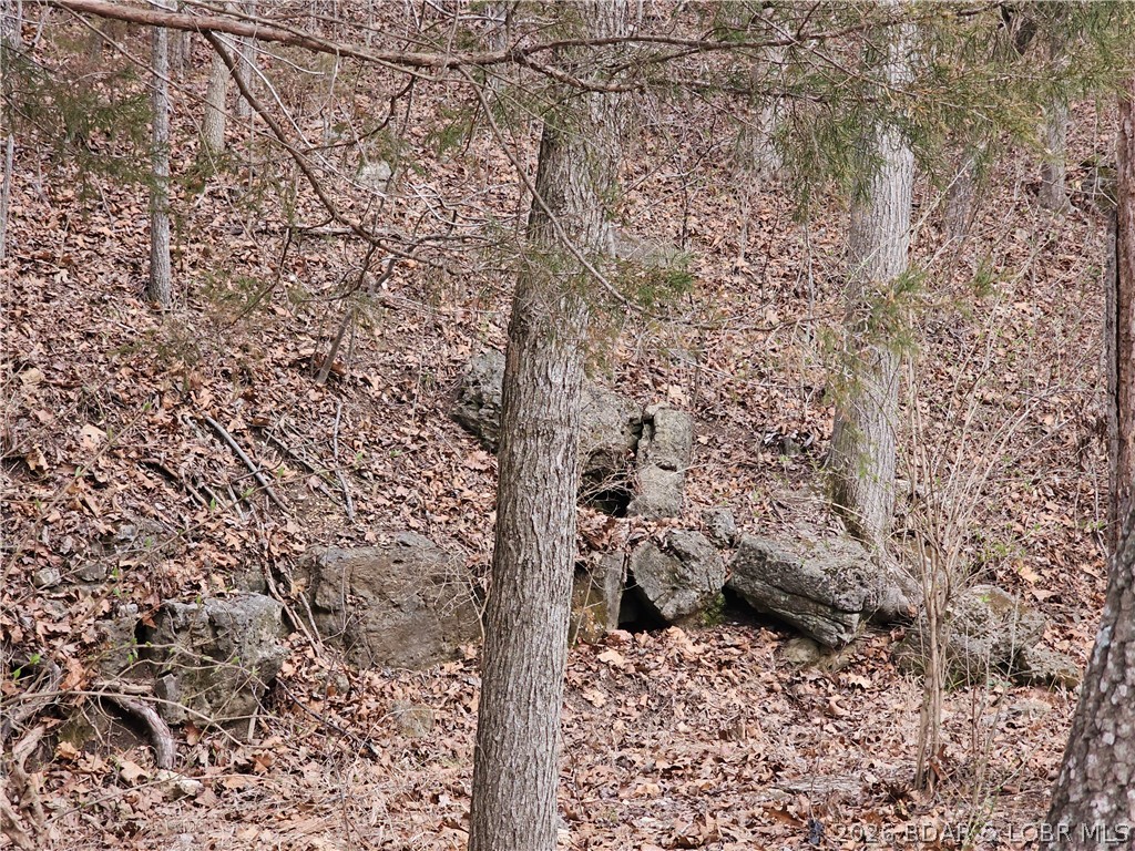 Town N Country - Residential