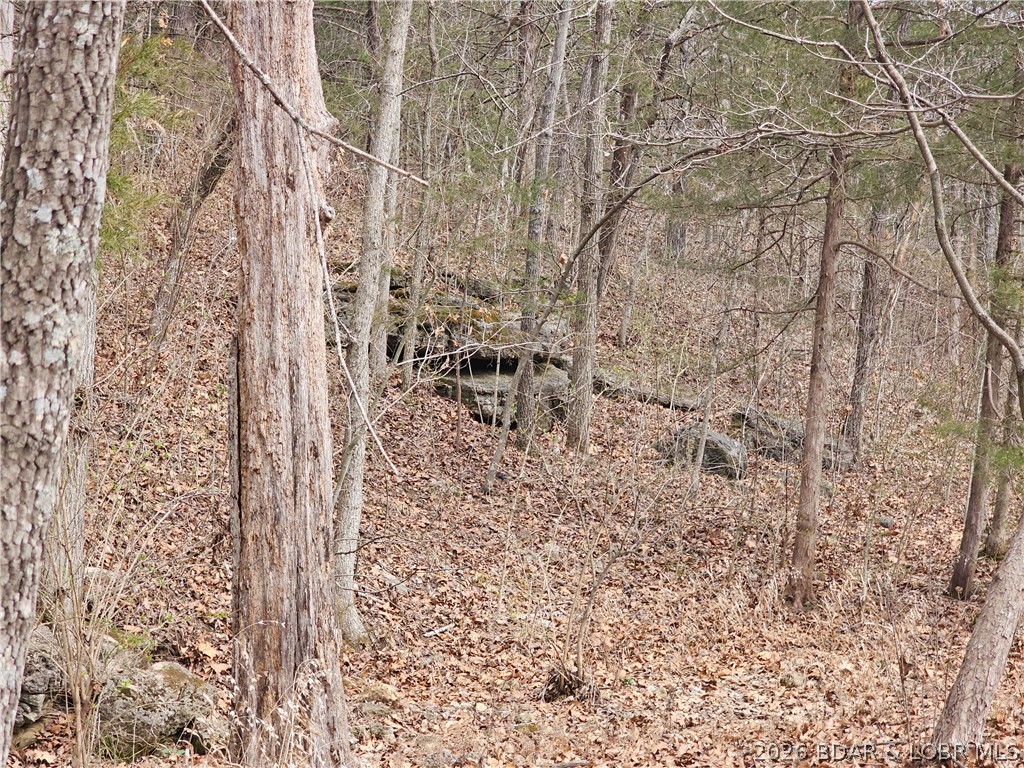 Town N Country - Residential