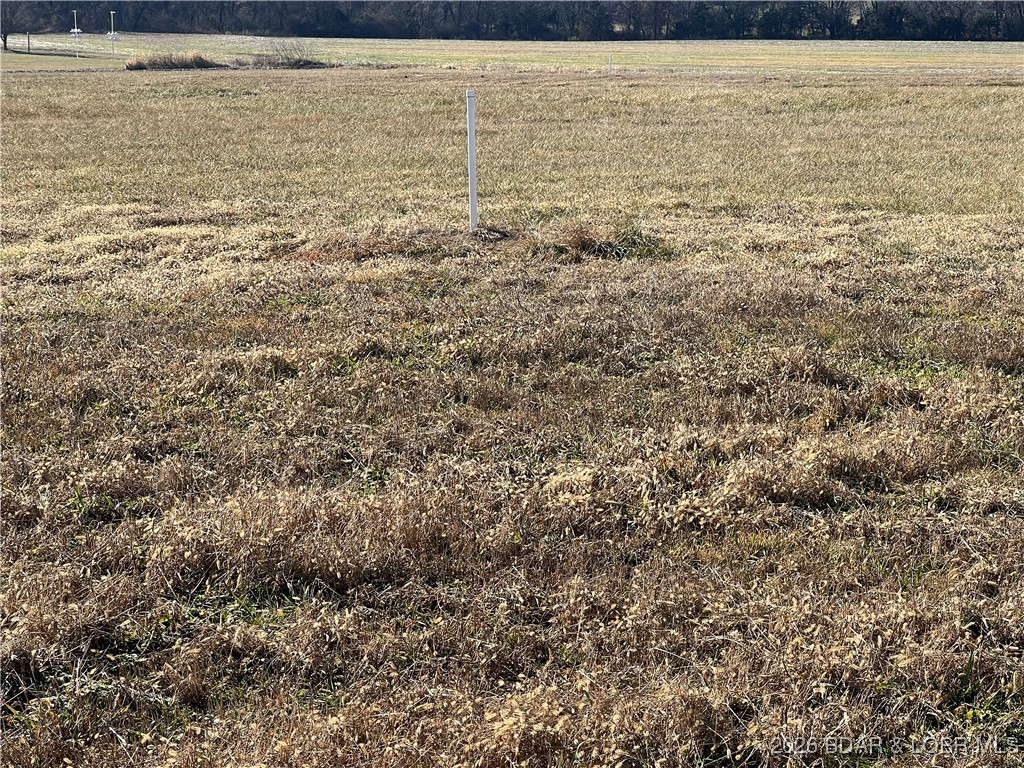 Wilhelm Estates - Land