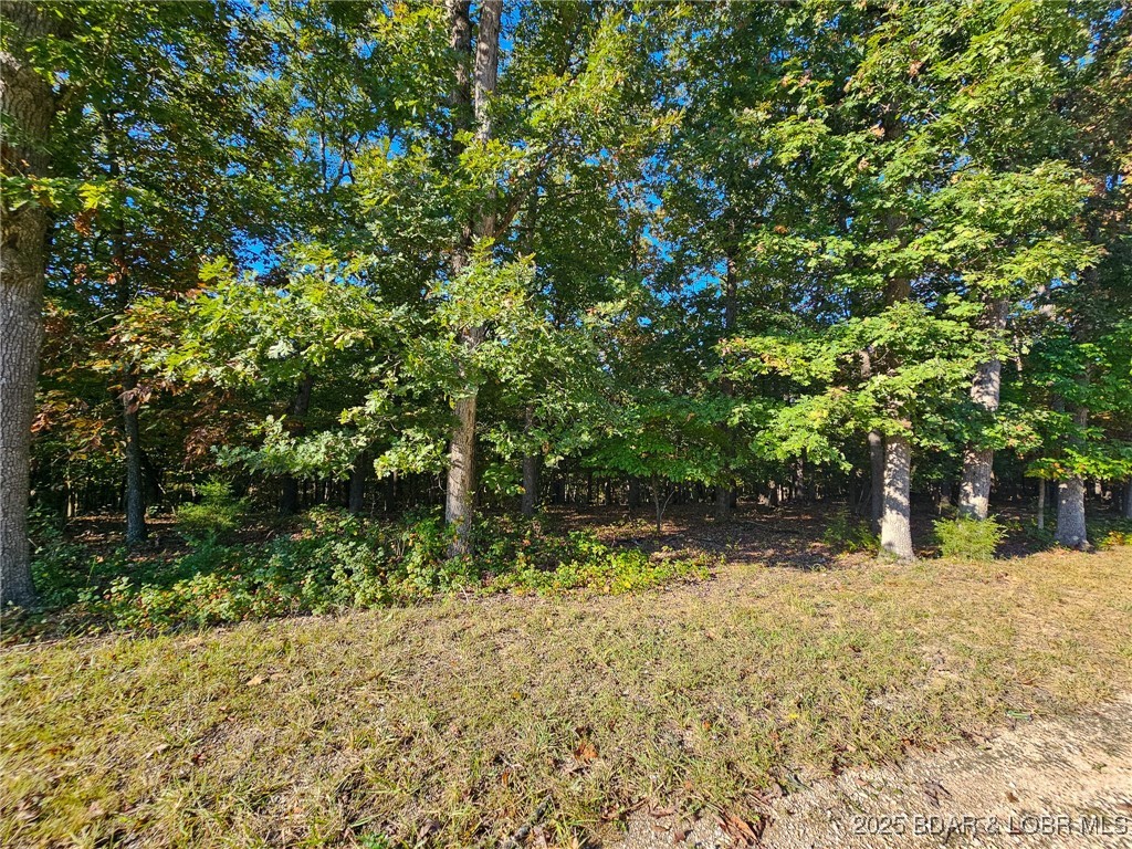 Cornett Cove No. 5 - Land