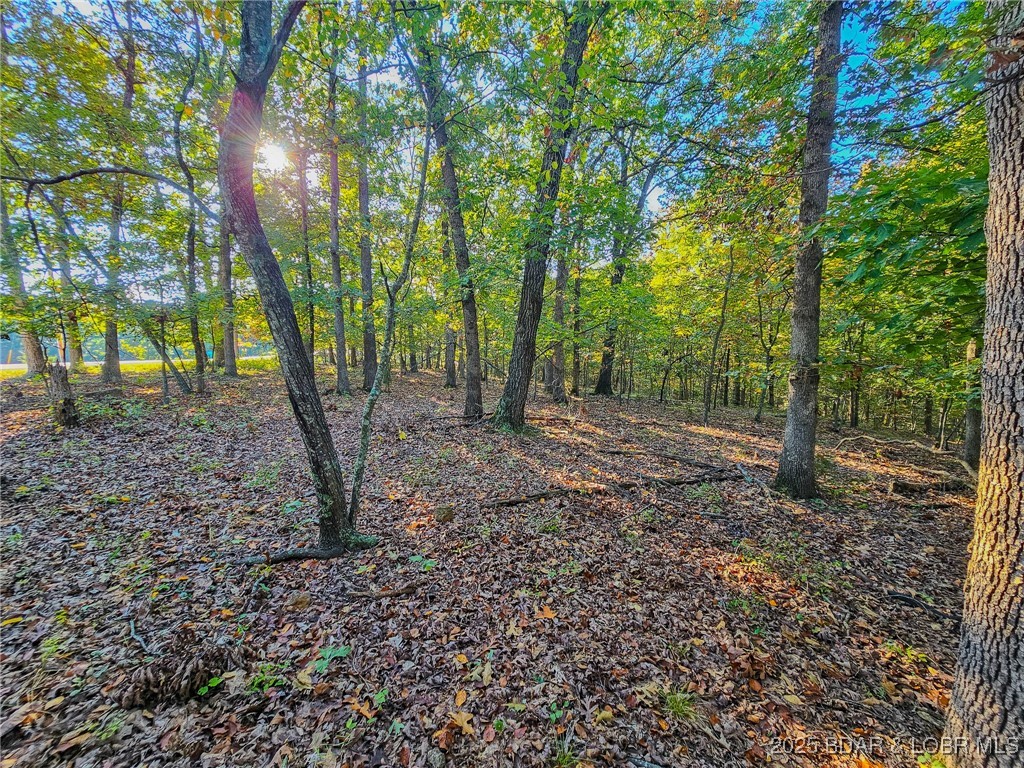 Cornett Cove No. 5 - Land