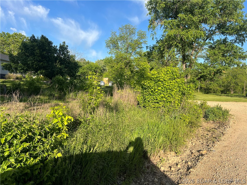 Aurora Springs - Land