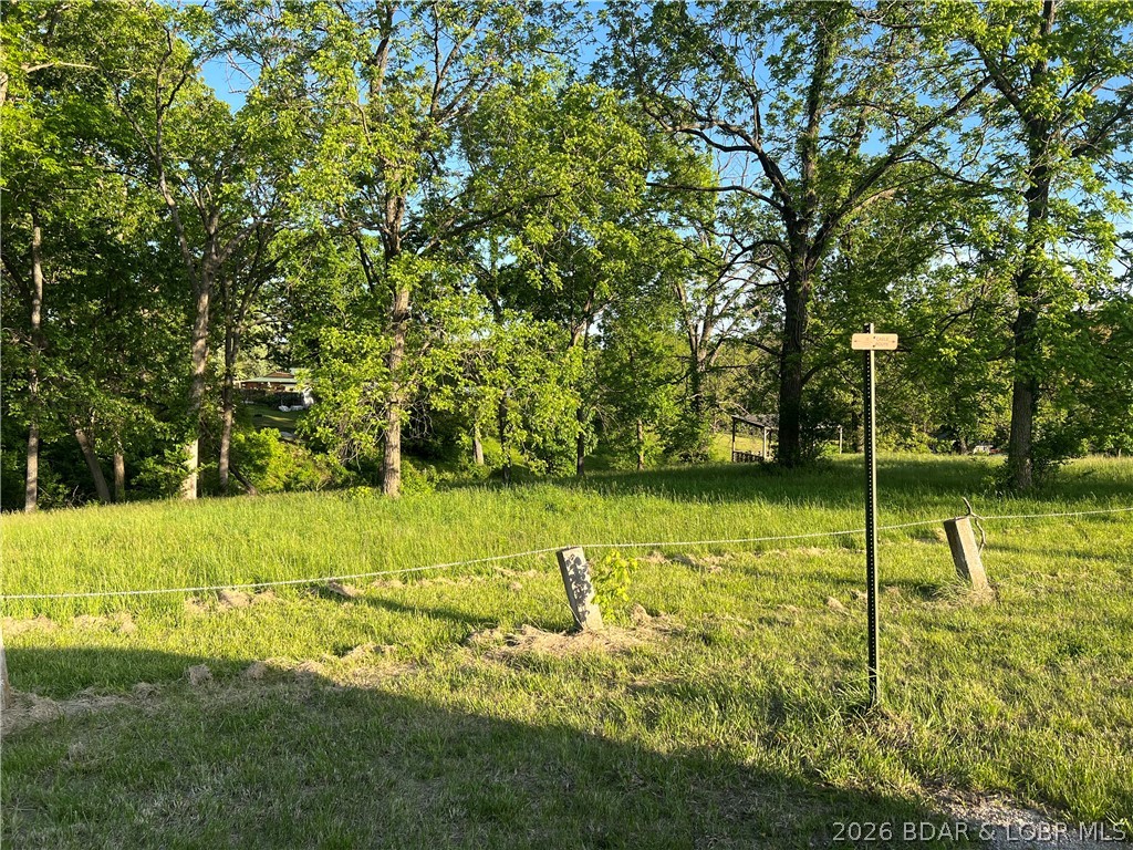 Aurora Springs - Land