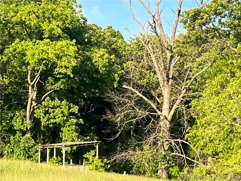 Aurora Springs - Land