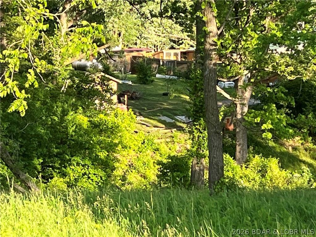 Aurora Springs - Land