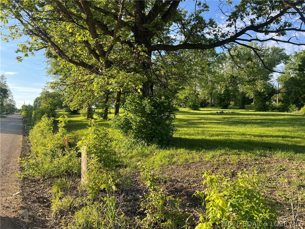 Aurora Springs - Land