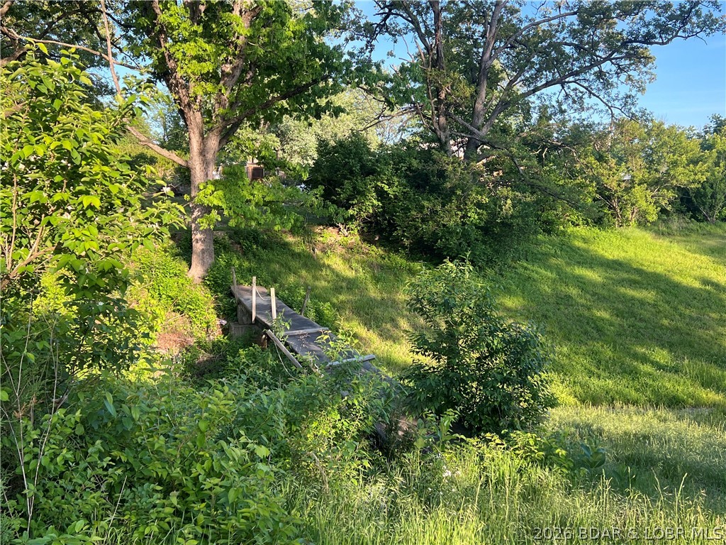 Aurora Springs - Land