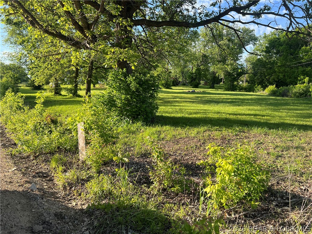 Aurora Springs - Land