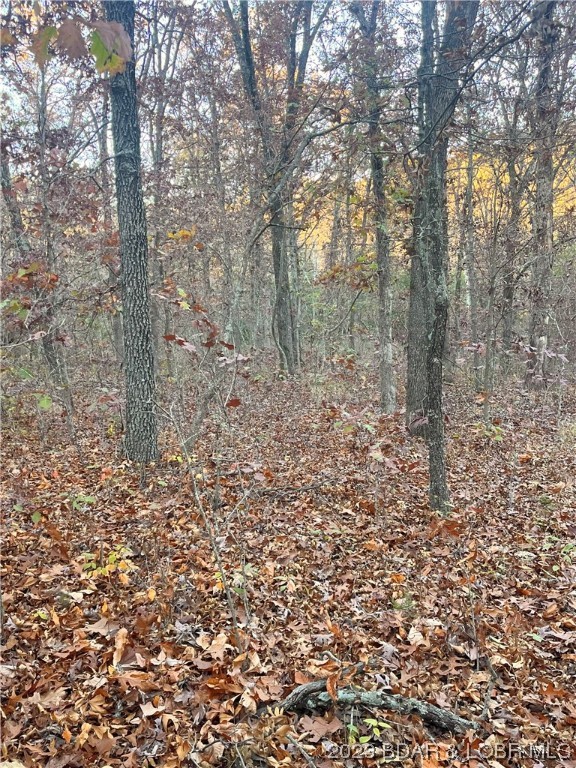 Indian Creek Hills - Land