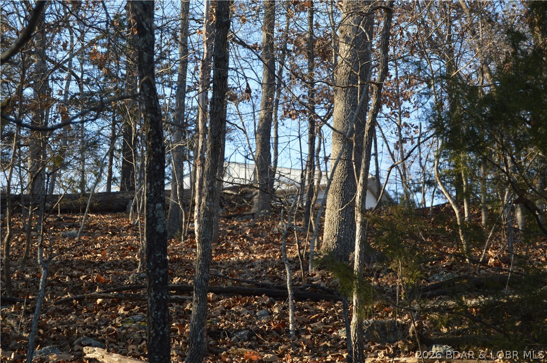 Race Track Bay - Residential