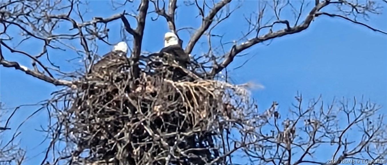 Grand Point - Residential